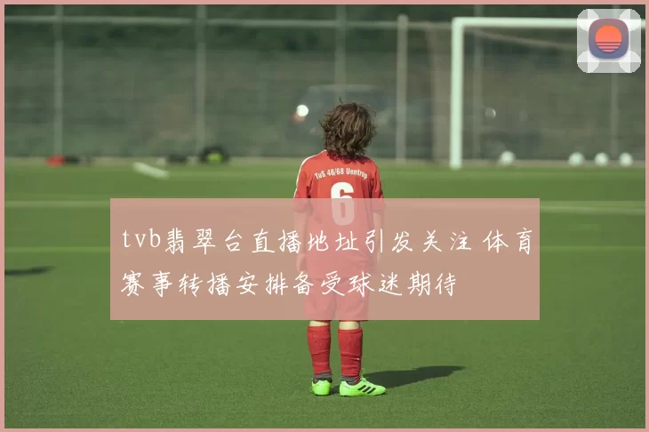 tvb翡翠台直播地址引发关注 体育赛事转播安排备受球迷期待