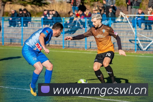 leyu.乐鱼(集团)体育科技股份有限公司官网平台生态图